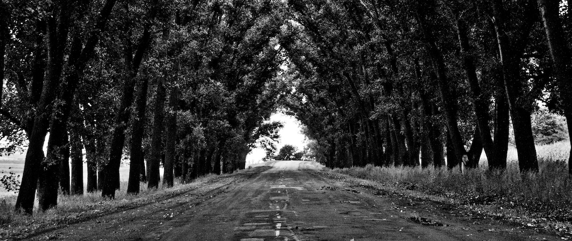 Pathway through a forest